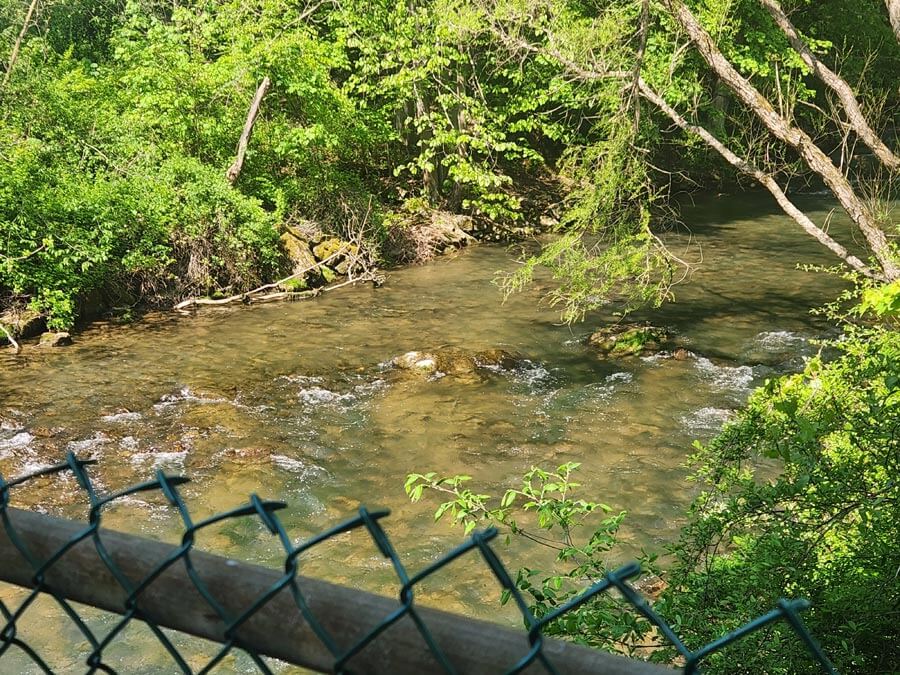upstream view