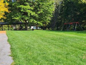 swings and pavilion with picnic tables