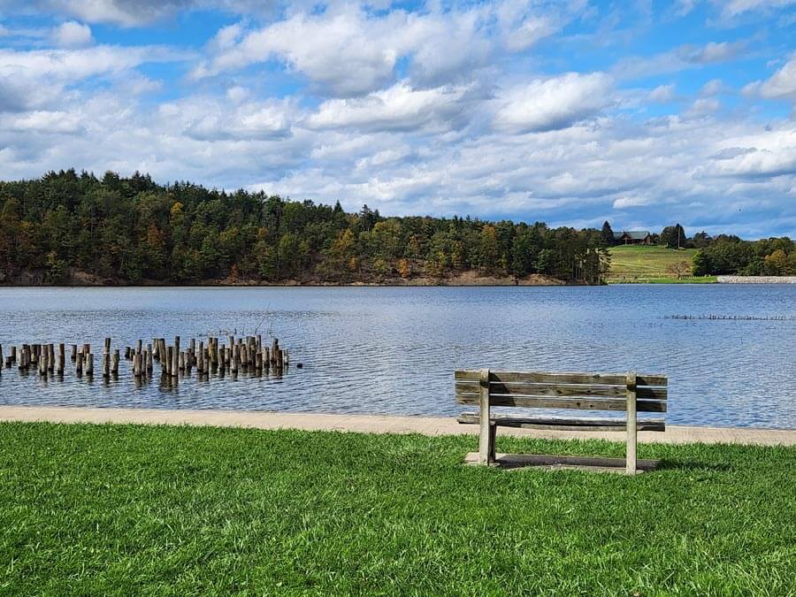 bench overlooking lake.