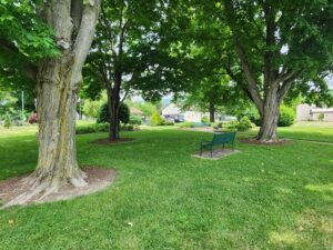 bench and green space.