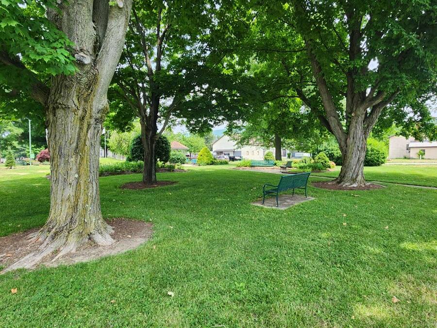 bench and green space.