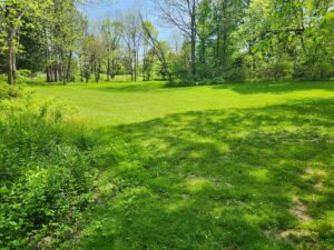 lots of green space.