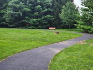 walking path and bench.