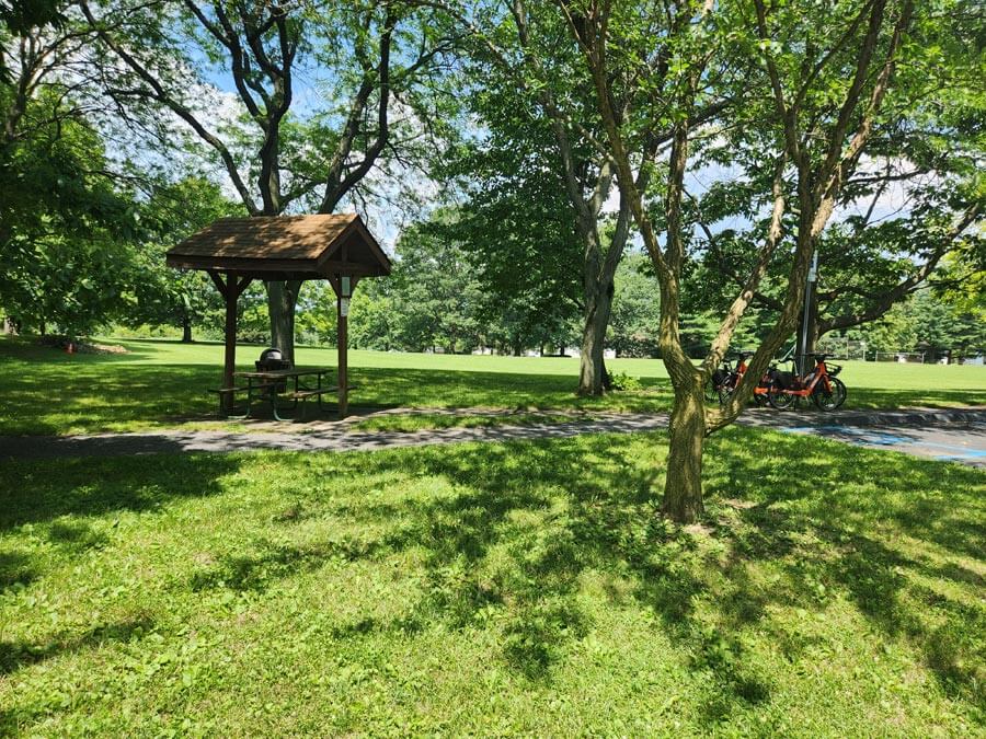 covered picnic table.