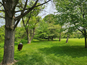 green space.