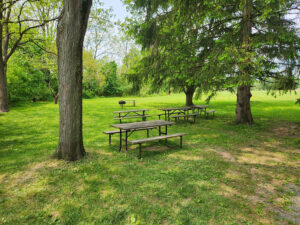 picnic tables.