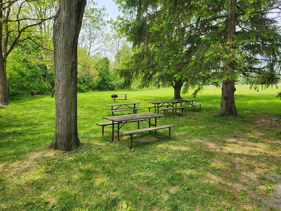 picnic tables.