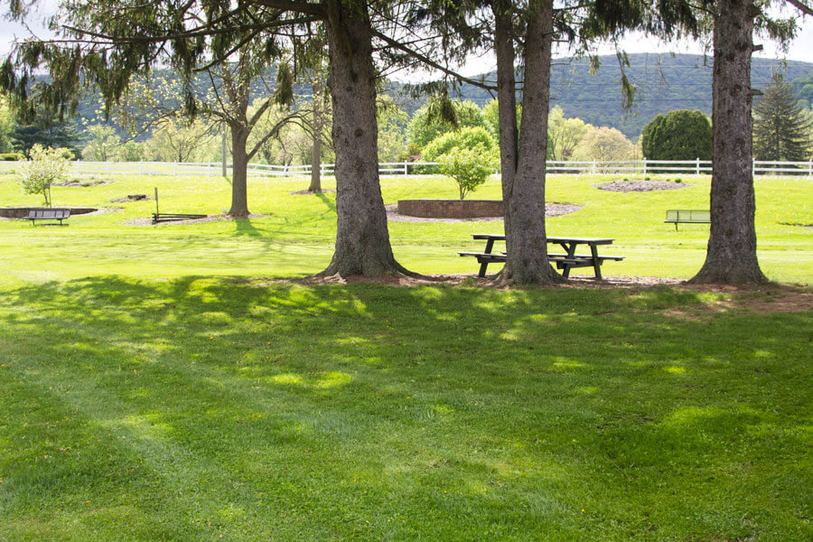picnic table.