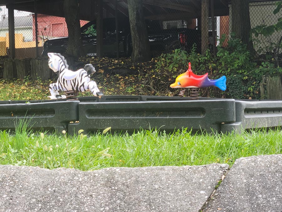 zebra and dolphin shaped bouncies.