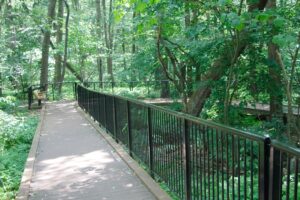boardwalk trail.