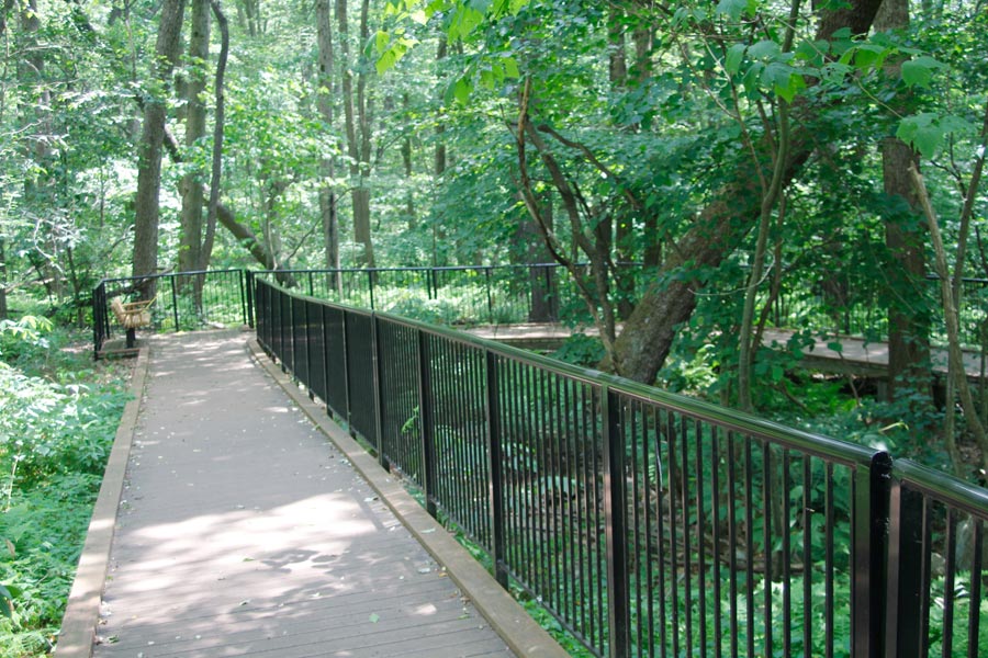 boardwalk trail.