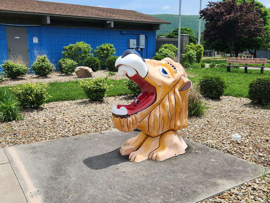 water fountain in a lion's mouth.