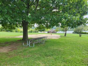 picnic tables under a tree canopy.