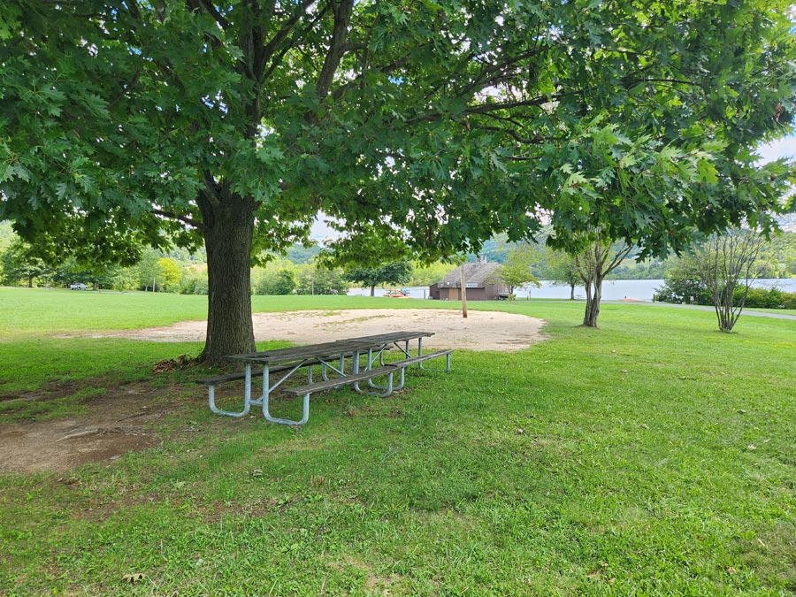 picnic tables under a tree canopy.