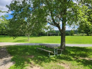 picnic table with volleyball net behind.