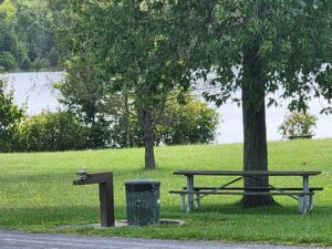 picnic table, trash can, and water fountain.