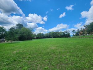 large grassy green space.