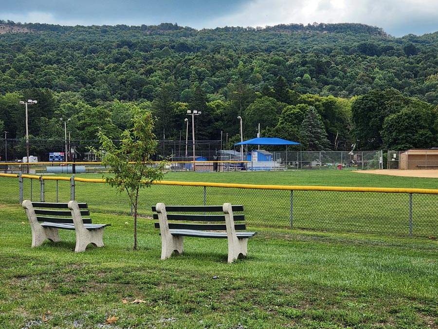 outfield benches.