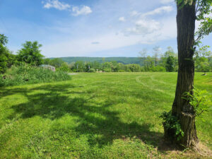 view of green space and mountain beyond.