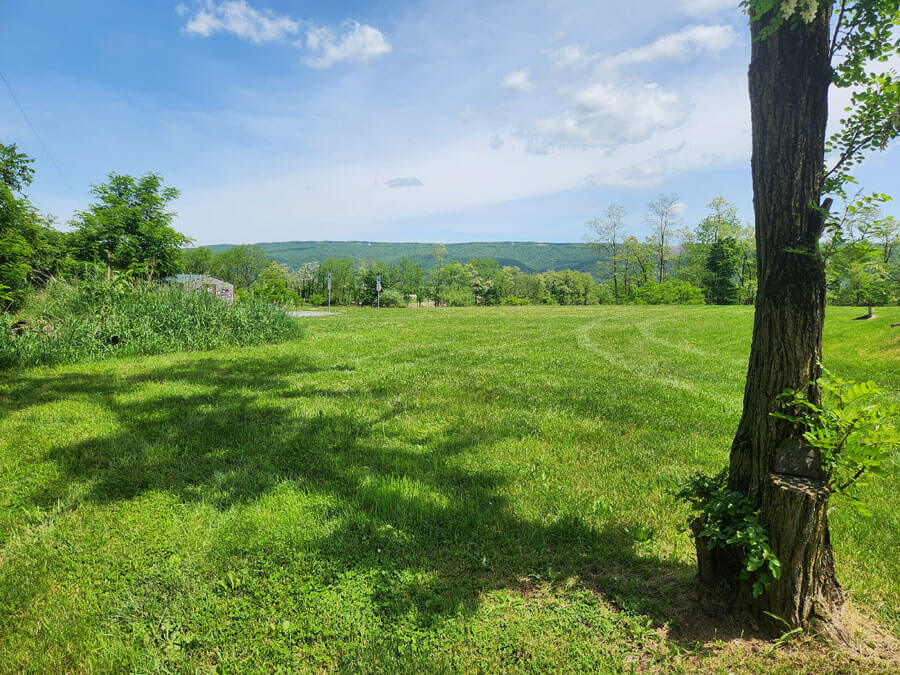 view of green space and mountain beyond.