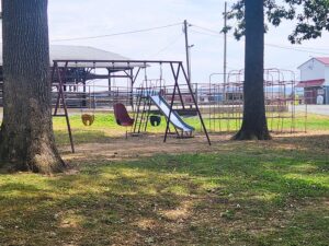 swings, slide, and jungle gym.