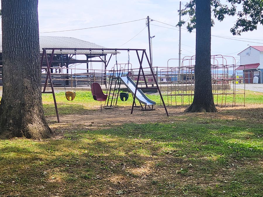 swings, slide, and jungle gym.