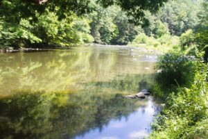Stream.