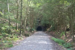 path leading to tunnel.
