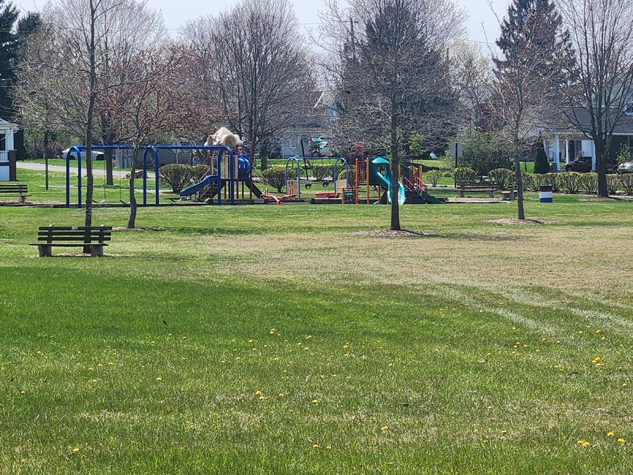 playground.