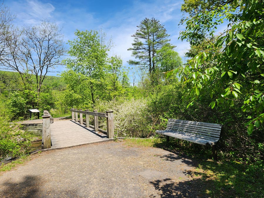 bench beside bridge.