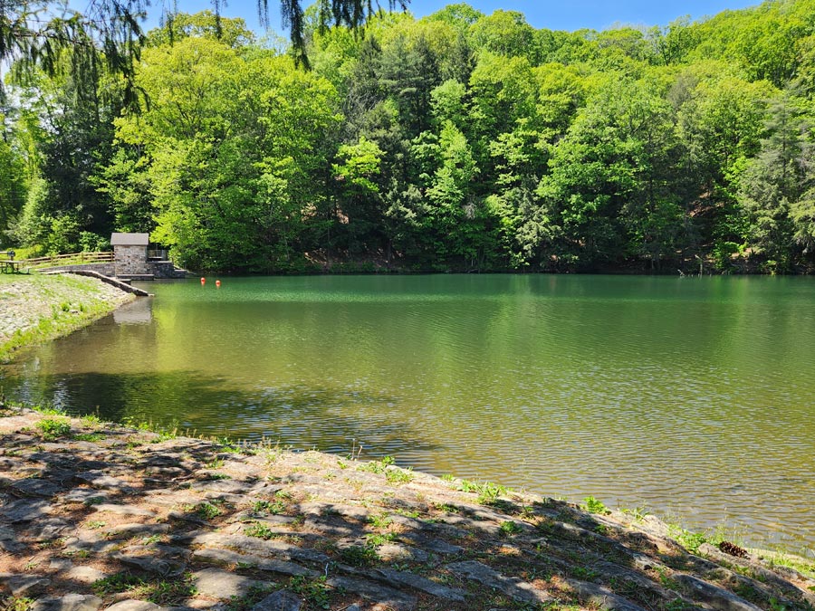 lake waters look bright green, but not in a bad way.
