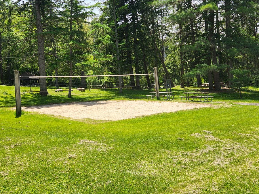 volleyball net.