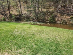 stream.