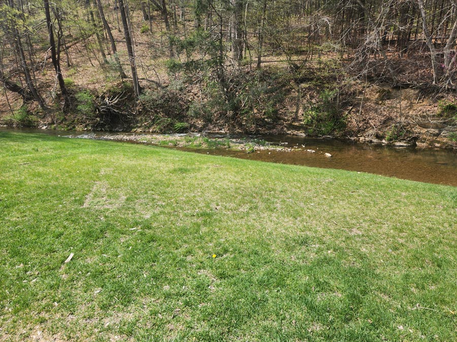 stream.