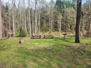 Two picnic tables and a grill beside the stream.