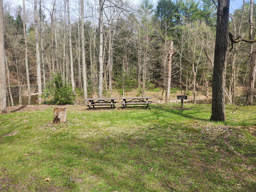 Two picnic tables and a grill beside the stream.