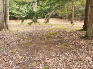 Horseshoes court.