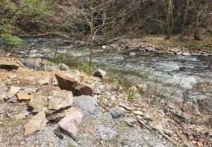 stream.