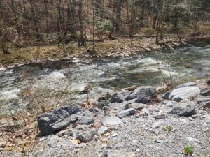 stream.