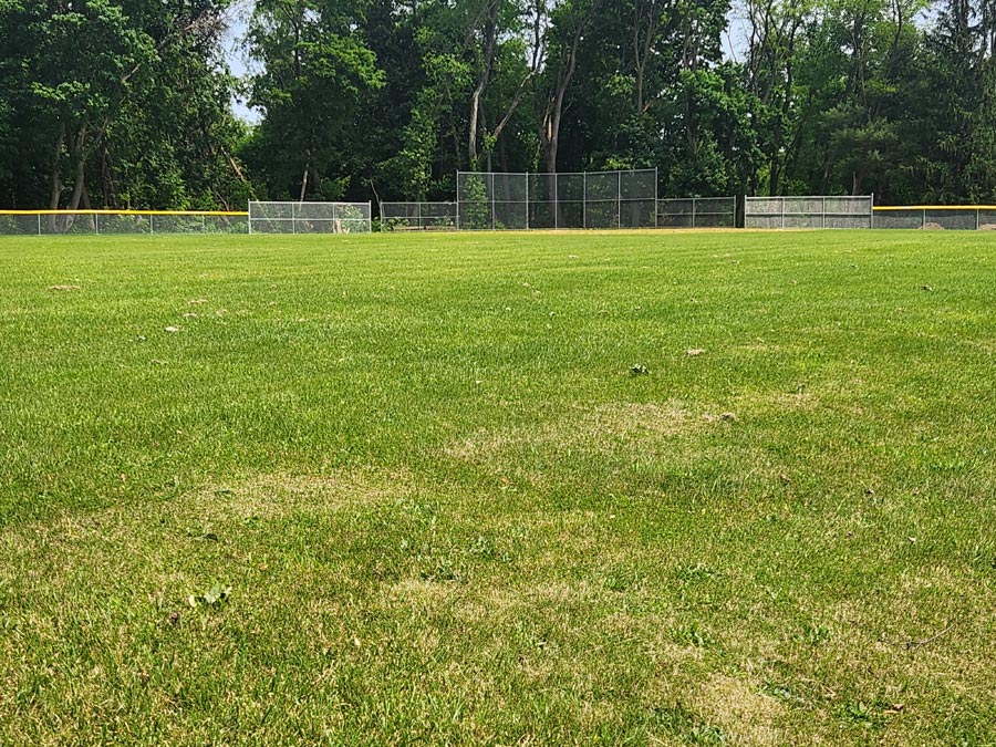 ball field.