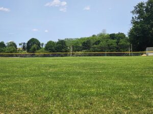 batting cage.