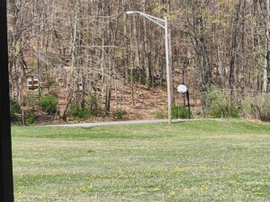 basketball court.