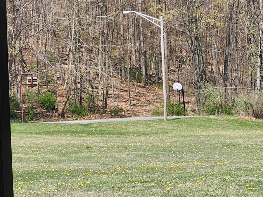 basketball court.