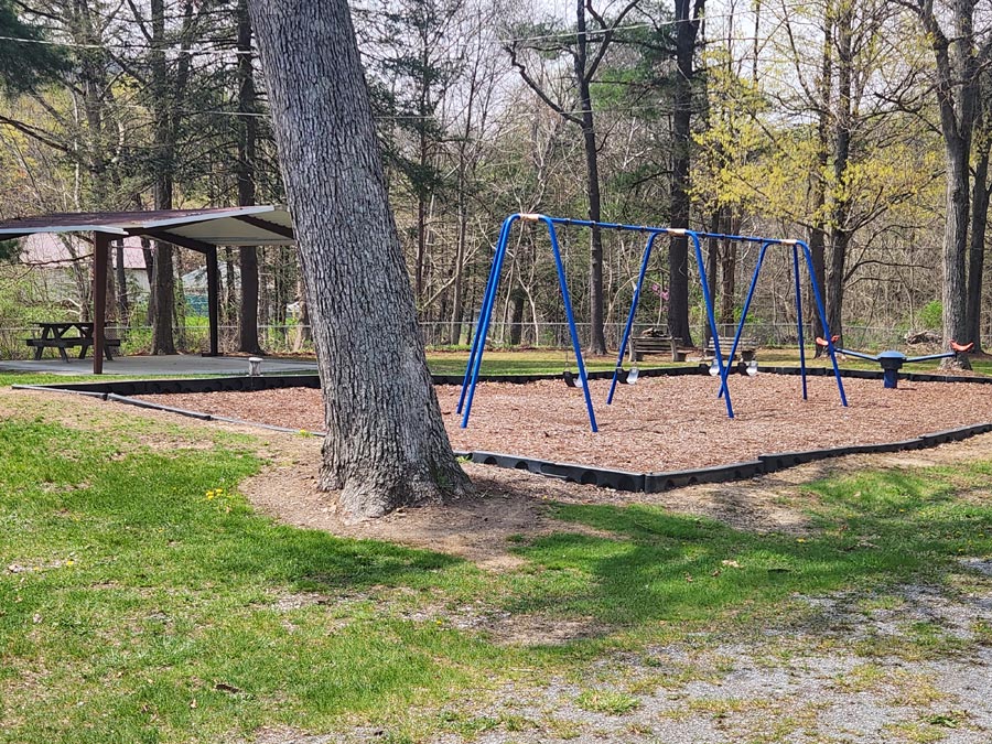 swings.