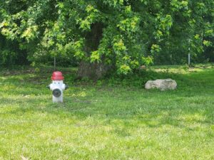 fire hydrant.