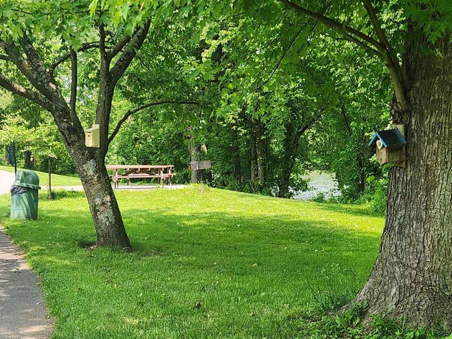 bird houses on many trees.