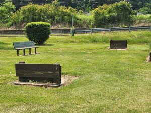horseshoes court.
